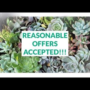 Make an offer on anything you love! 😊